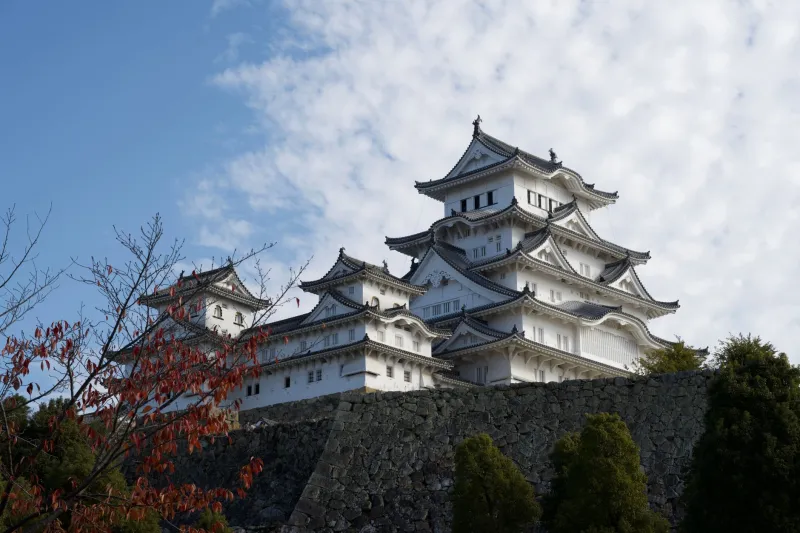 After Himeji, Everywhere Else Feels Like a Copy