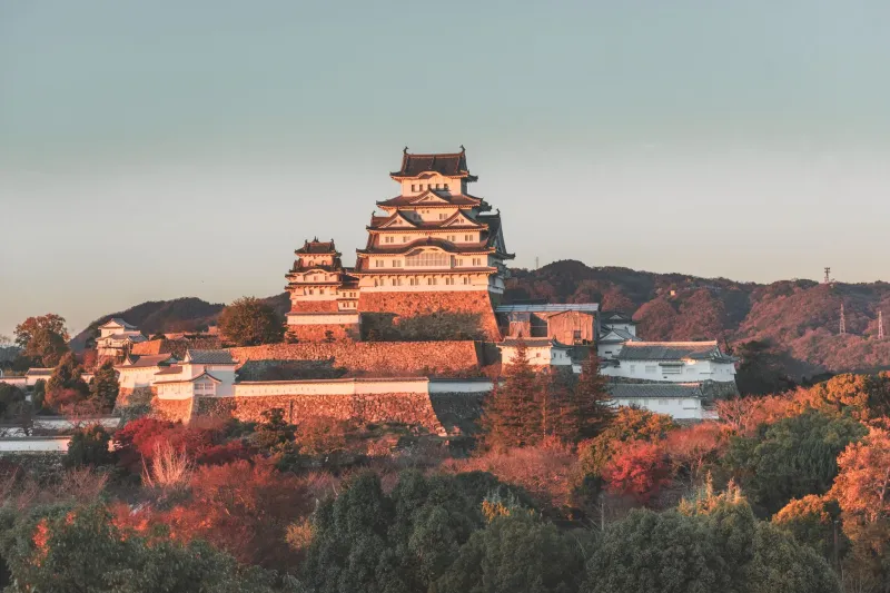 They Keep Coming Back: How Himeji Became a Lifelong Pilgrimage for American Travelers