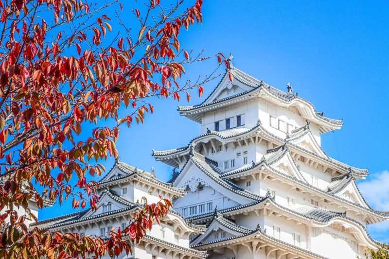 Stop Treating Himeji Like a Layover: The Case for Deliberately Slowing Down